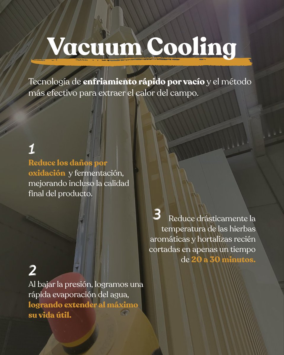 solherbs_'s tweet photo. ¿Cómo aseguramos que nuestras hierbas aromáticas y hortalizas lleguen perfectas? 🧐
Te presentamos el Vacuum Cooling, una tecnología clave para que nuestras hierbas aromáticas lleguen intactas. 👌🌿
#HierbasAromáticas #Hortalizas #Vacuum #Solherbs #FreshProduce https://t.co/B0d6fhAG2Z