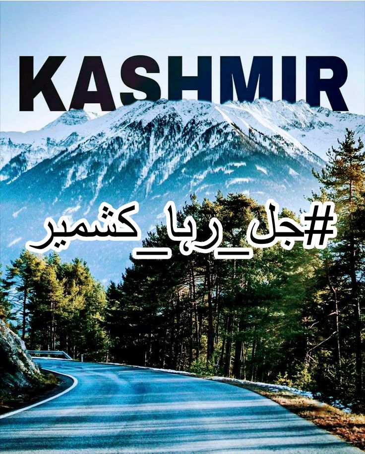 SaraNiaziPTI's tweet photo. Daily life disrupted, markets shuttered—Azad Kashmir is paying a heavy price for unresolved issues. Dialogue must resume without delay. #جل_رہا_کشمیر https://t.co/lW1IQJfuRZ
