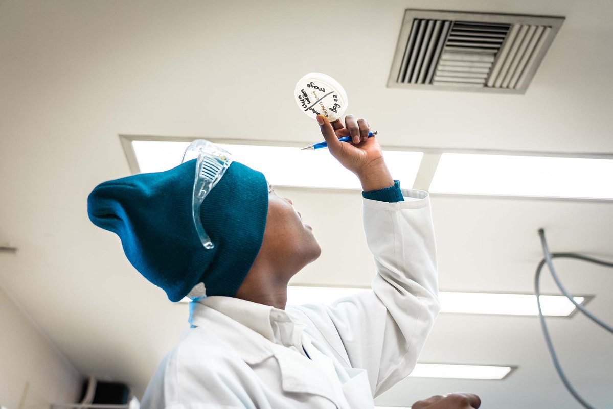 UCT_news's tweet photo. [PHOTOS] UCT’s Department of Molecular and Cell Biology recently hosted Grade 12 science learners for an immersive job-shadowing programme.

The programme provided first-hand exposure to scientific research, academic environments and career opportunities in science, technology and medicine – helping to broaden learners’ understanding of future study and career pathways.

View the full photo essay: https://t.co/6i5uHgjuSE

@UCTscience