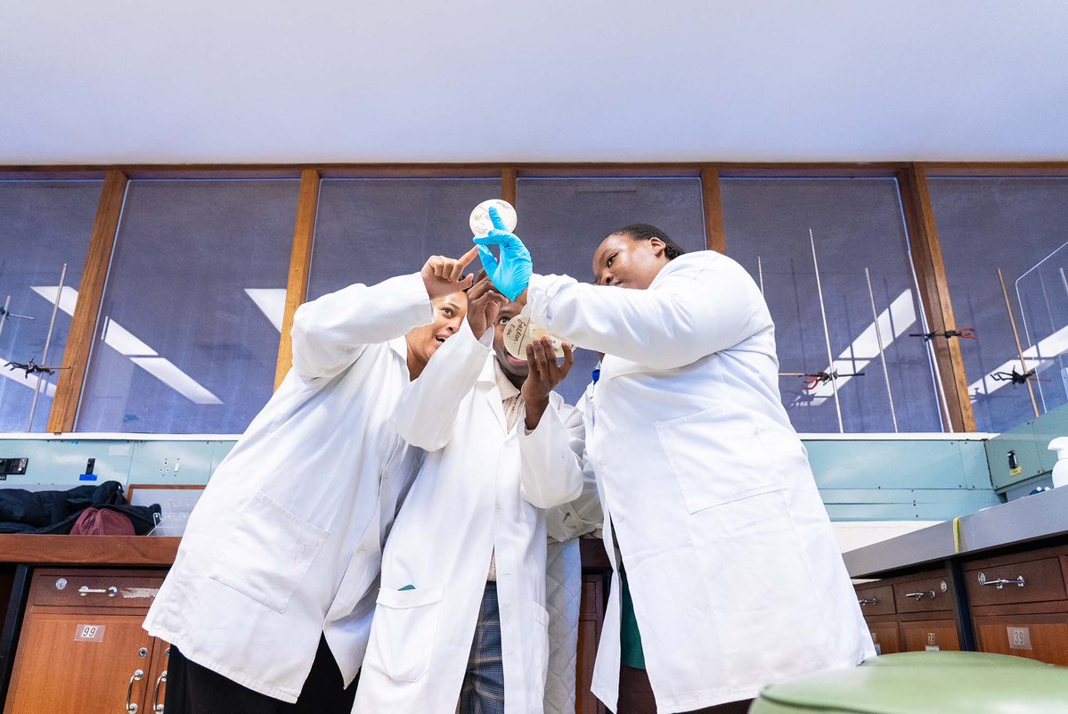 UCT_news's tweet photo. [PHOTOS] UCT’s Department of Molecular and Cell Biology recently hosted Grade 12 science learners for an immersive job-shadowing programme.

The programme provided first-hand exposure to scientific research, academic environments and career opportunities in science, technology and medicine – helping to broaden learners’ understanding of future study and career pathways.

View the full photo essay: https://t.co/6i5uHgjuSE

@UCTscience