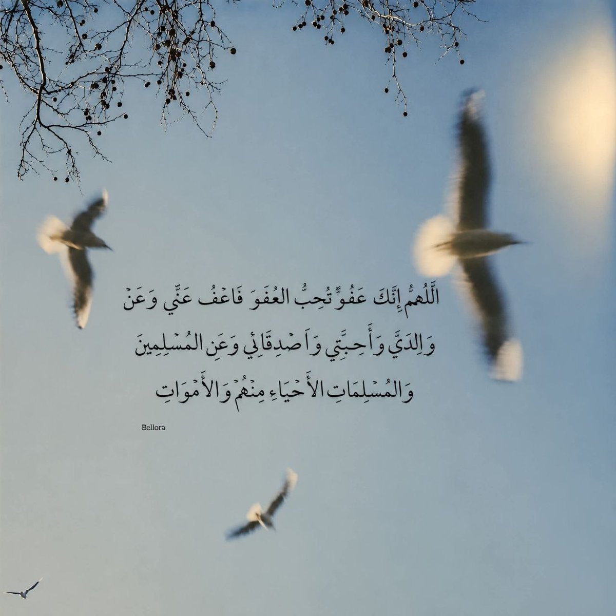 1gheith's tweet photo. اجعل هذا الدعاء وردا لا يفارق لسانك https://t.co/vcuZMW1mbM