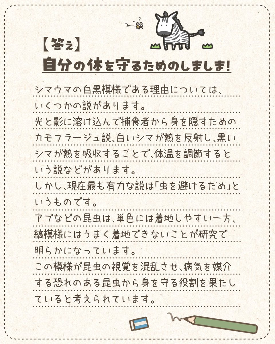 boken_techo's tweet photo. 日常のギモンを考えてみる事で
思考力や想像力を育てよう🌱

＼ ぜひおうちでもお子さんに聞いてみてください🐼／

【#今週のギモン】
どうしてシマウマは白黒なの？🔍

▼答え▼ https://t.co/RUOb7LTzZc