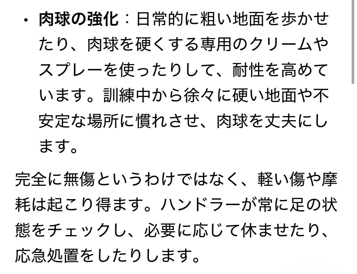 naritama7777's tweet photo. 動物好きの友達が
「行方不明者の捜索でガレキの中に犬を入れたら破片で傷だらけになりそう😢」
と言ってたのでAIに訊いてみた。
肉球硬化スプレーとは！？ https://t.co/yN6amTgvIQ