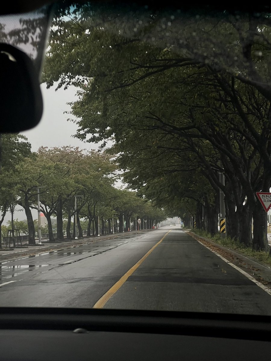 esilehoe's tweet photo. 오늘은 작년에 갓엇던 길을 또 지낫는데
작년이랑 날씨가 완전 정반대라서 신기햇슴
왼쪽이 작년이고 오른쪽이 오늘!!! https://t.co/xlhSWGNoXU