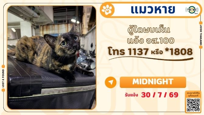 js100radio's tweet photo. แมวหายจากบ้านย่านถ.โชคชัย4 เขตลาดพร้าว ผู้ใดพบเห็นแจ้ง JS100 โทร *1808 หรือ 1137

รายละเอียดเพิ่มเติม : https://t.co/rwusfQEwI1

#แมวหาย #ตามหาแมวหาย #JS100 https://t.co/Ir85grwXhS