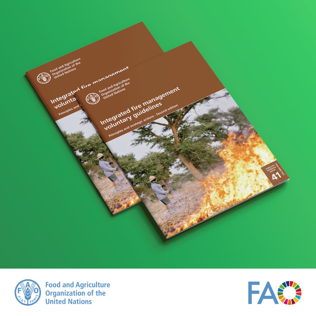 FAOKnowledge's tweet photo. 🔥🌳 As wildfires become more frequent &amp; severe, integrated fire management is more important than ever.

Download the @FAO Voluntary Guidelines, developed through the #GlobalFireHub, to help countries strengthen prevention, preparedness &amp; response.
 
🔗 https://t.co/LUXBm1LKJa https://t.co/gmRyLfB7e1