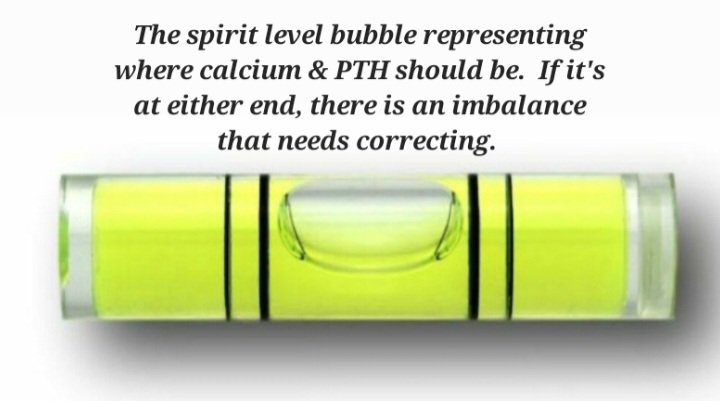 SpSallie's tweet photo. A simple lesson on the negative feedback loop of #calcium & #parathyroid hormone, for doctors, especially #endocrinologists, whose role is to balance hormones, not to Watch & Wait as patients' health deteriorates. Yet that's where we are as Parathyroid Awareness Month draws to a close...#PAM2026