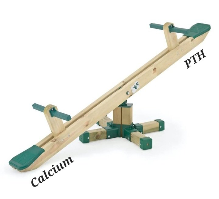 SpSallie's tweet photo. A simple lesson on the negative feedback loop of #calcium & #parathyroid hormone, for doctors, especially #endocrinologists, whose role is to balance hormones, not to Watch & Wait as patients' health deteriorates. Yet that's where we are as Parathyroid Awareness Month draws to a close...#PAM2026