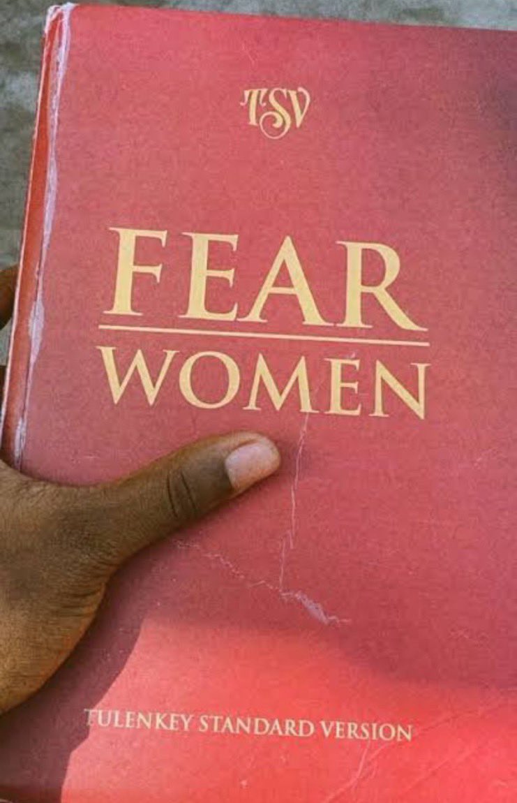 sandrah2510's tweet photo. So this is a whole book teaching men to fear women https://t.co/WWKoAzHEIR
