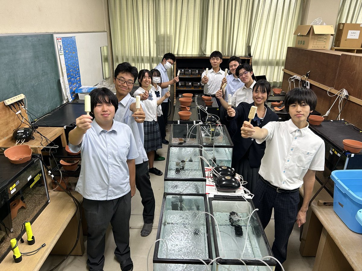 suzuka_nsc tweet picture