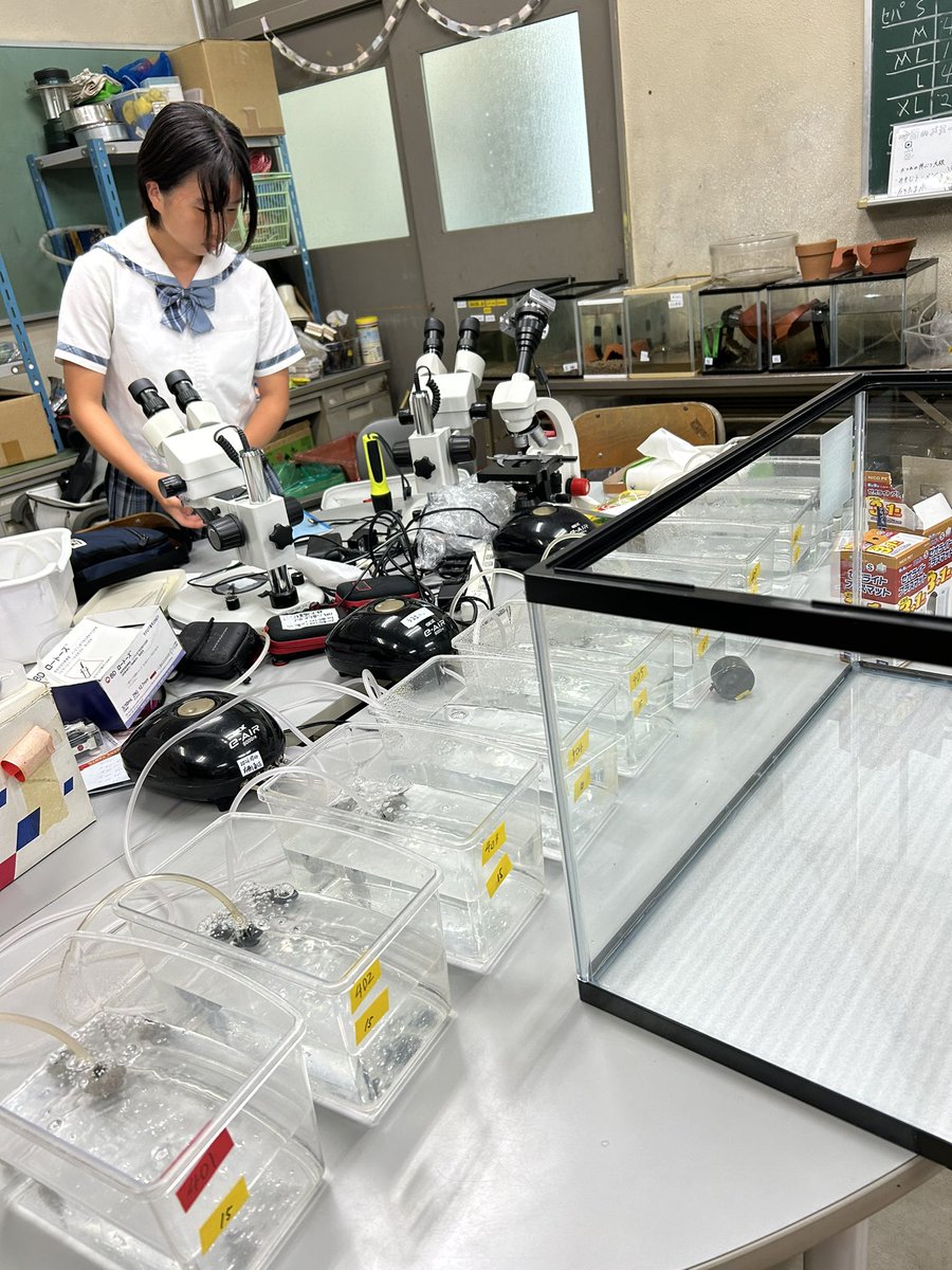 suzuka_nsc tweet picture