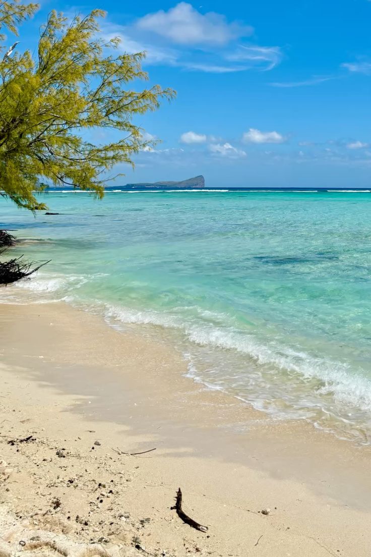 Mauritius Island tweet media