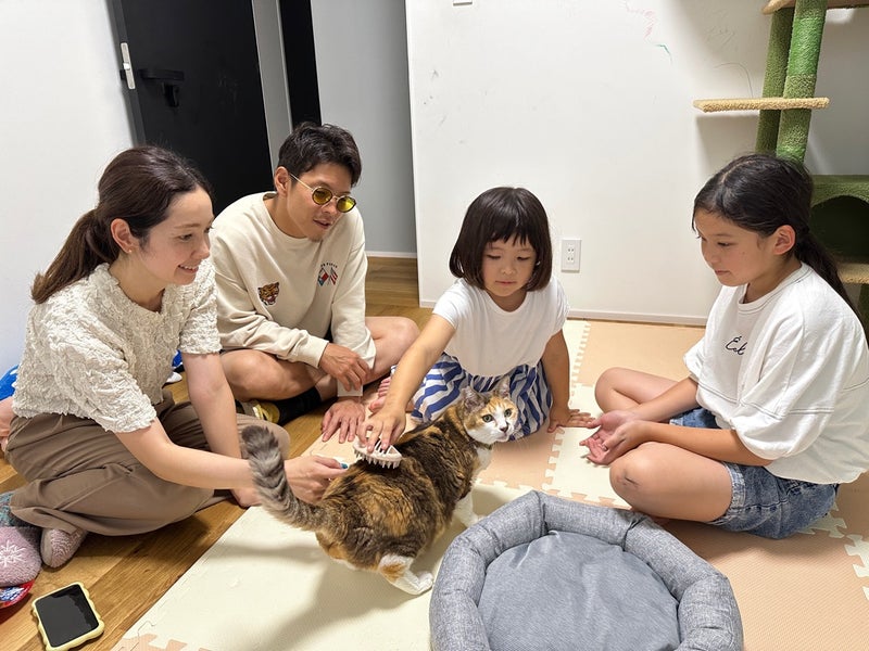 caracatcafe's tweet photo. ニドス、幸せの新しいお家へ♪ | 保護猫カフェ　Cara Cat Cafe
 https://t.co/tW3jRN3c4q #Amebaブログ #アメブロ https://t.co/xLfPPIMJSY
