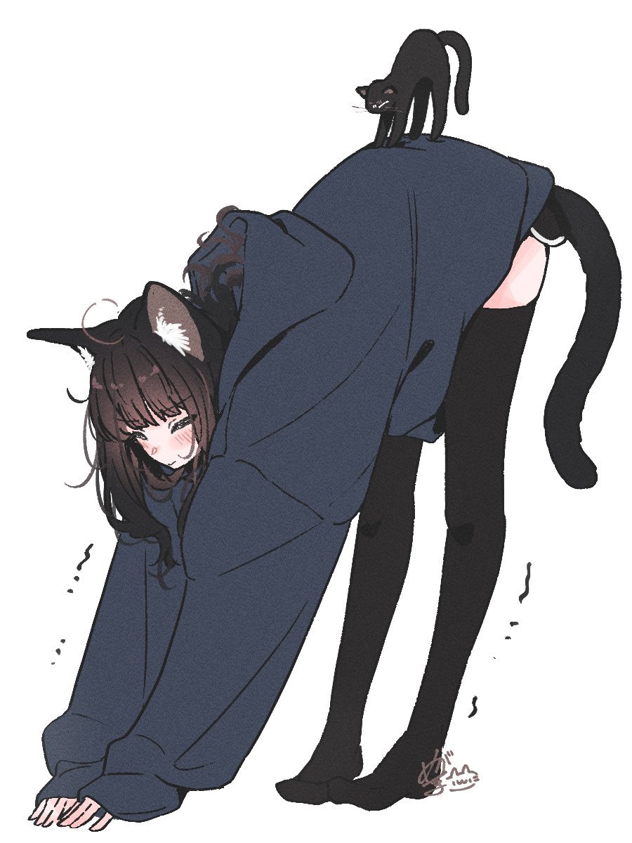 M_terU116's tweet photo. ぼにゃねこ再掲 https://t.co/oulpoghwtT
