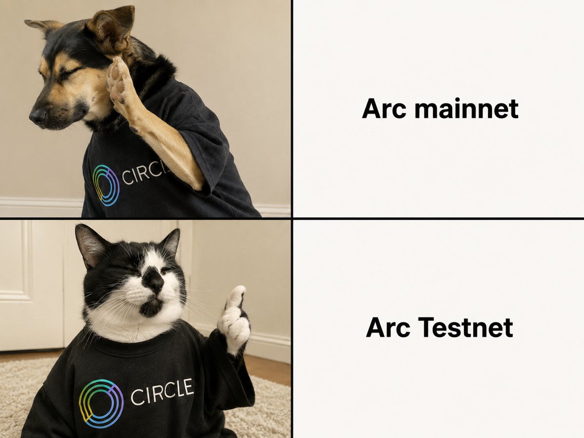 Arclpdotfun's tweet photo. Isn’t that the case? @arc 

Join testnet with us: https://t.co/fxUSEBFjnW https://t.co/2LwIGIyVQA
