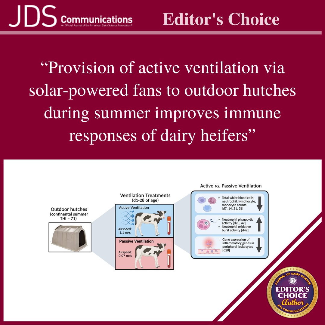 ADSAorg's tweet photo. Does calf cooling improve immune function? Find out from a @Animal_DairySci team led by Jimena Laporta in the latest #JDSCommunications 👉 https://t.co/5xmdsbO1jE
#DairyScience #SocietyPubs https://t.co/g9D90VZUn1