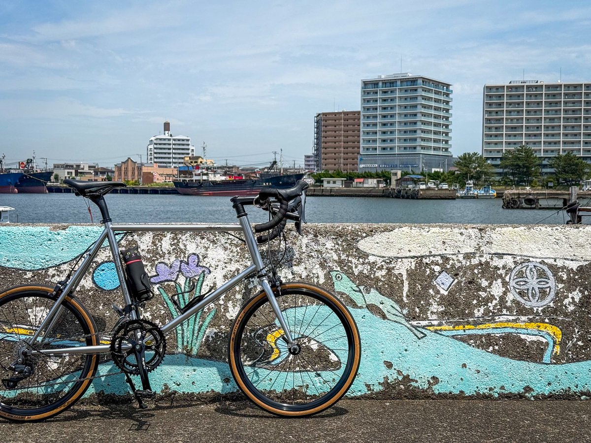 nobumillenia's tweet photo. ブレーキ良く効くようになった🥳

#minivelo
#Fuji
#HelionR https://t.co/bXfFwqd7jB