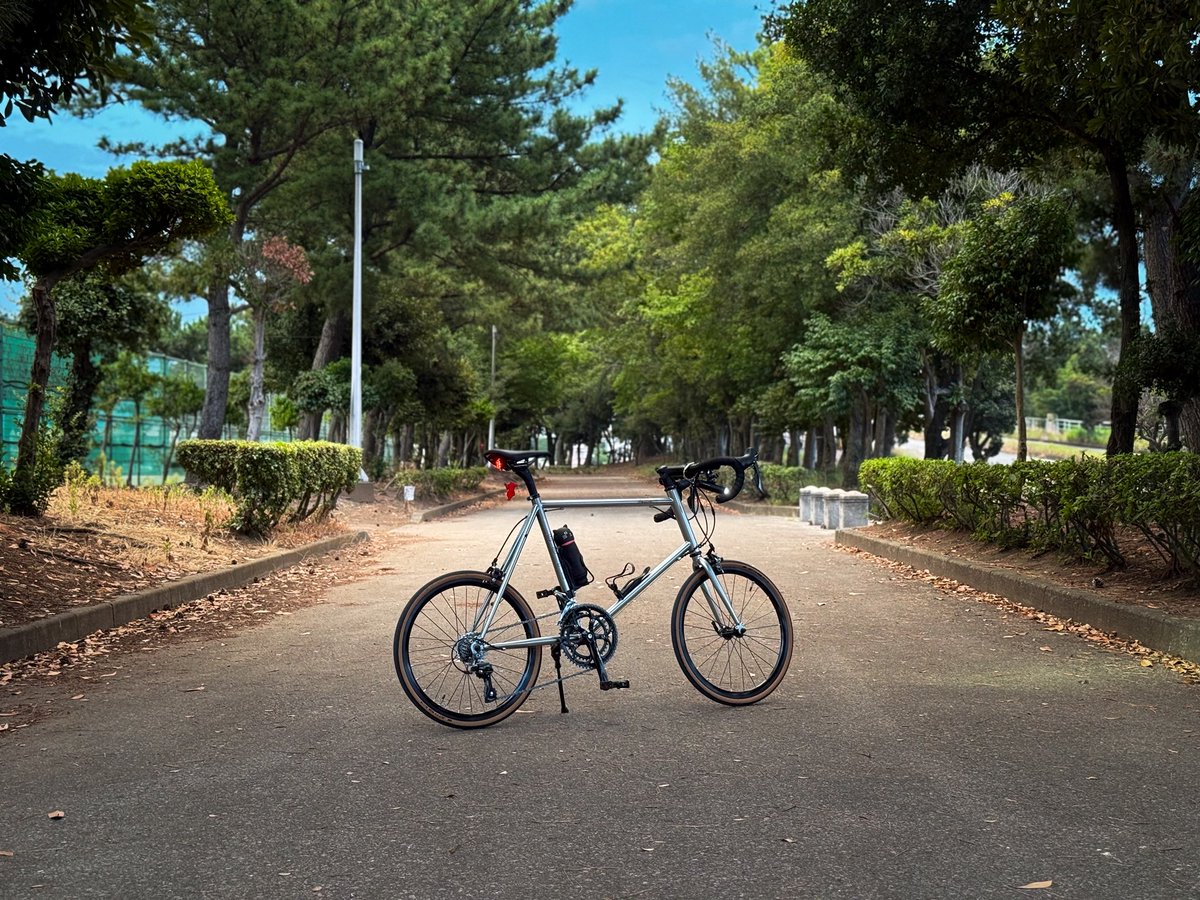 nobumillenia's tweet photo. ブレーキ良く効くようになった🥳

#minivelo
#Fuji
#HelionR https://t.co/bXfFwqd7jB