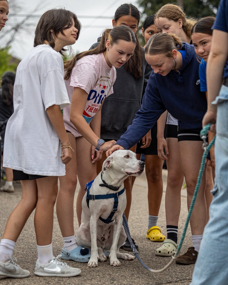 solofthecities's tweet photo. Week 4 wrapped up the final regular szn of #ServeToPlay Szn 6. ⚽🐾

Youth partnered with 
The Bond Between, making cat toys &amp; collecting pet supplies for local rescue animals.

This summer, 300+ youth participated each week and completed 1,160 hours of community service! https://t.co/kDBN2v1Lz0