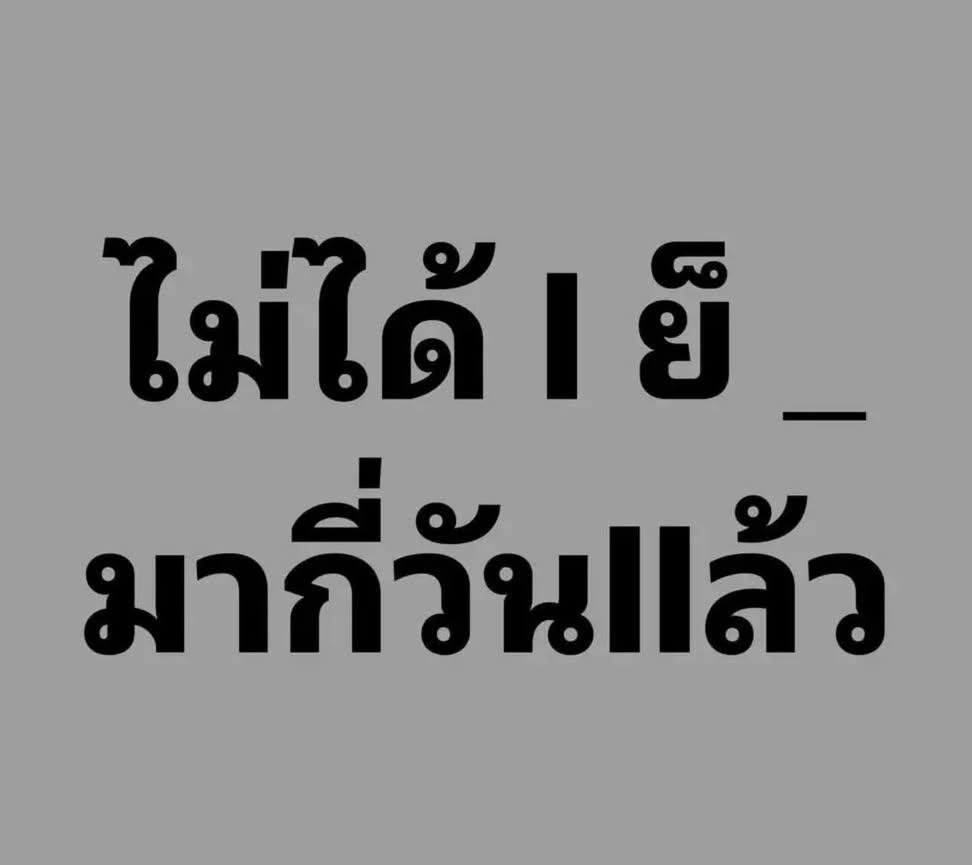 นักล่ารัตติกาล tweet media