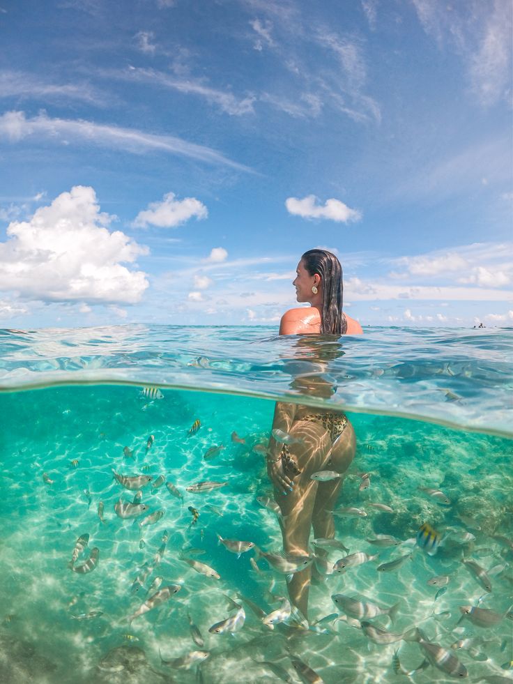 Mauritius Island tweet media