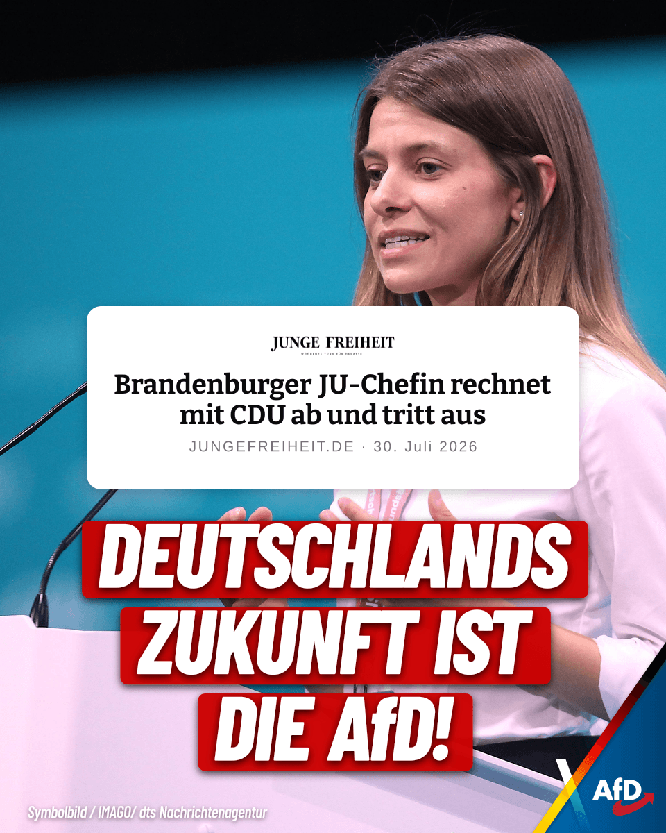 AfD tweet media