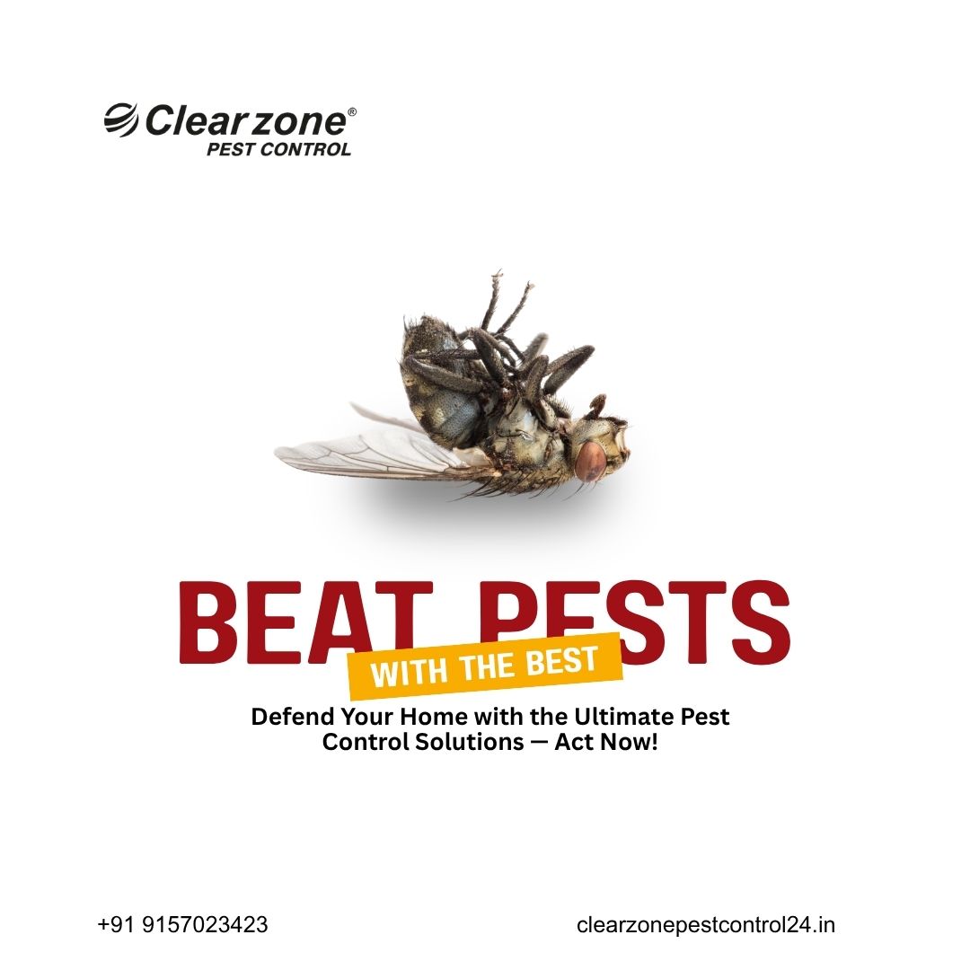krpatel1981's tweet photo. Don't let pests invade your space.

Beat pests with the best solutions from Clearzone Pest Control for safe, professional, and long-lasting pest protection.

📞 +91 7487051734
🌐 https://t.co/P0w0A8K9W3

#BeatPestsWithTheBest #ClearzonePestControl #PestControl #Ahmedabad https://t.co/dwZjtmjanP