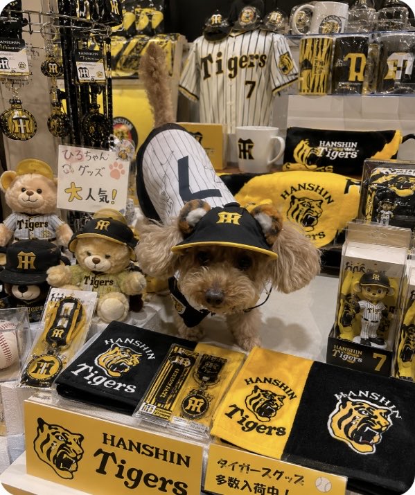 mm014680's tweet photo. とうとうグッズ売り場に並べられてしまった我が家の中野犬ひろちゃんです！
#阪神タイガース 
#中野拓夢 https://t.co/xealiv8gh8