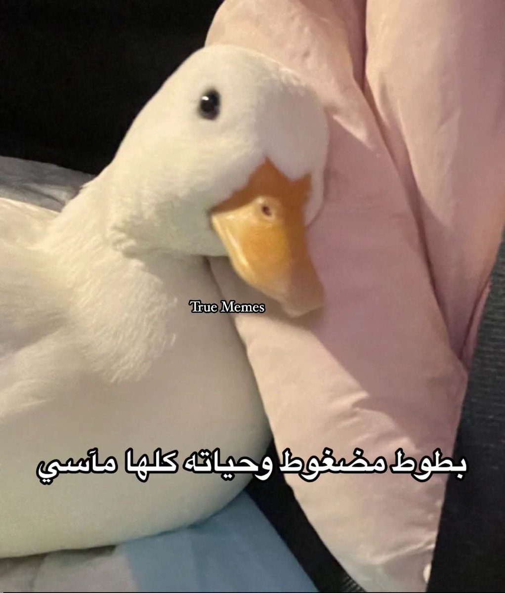 farahhmohammed0's tweet photo. https://t.co/qEQmjHSPmU