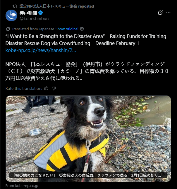QuantDev115's tweet photo. Their page is /japanrescue1995 and they rtd the post, its also the same dog in the video

they work in Kumamoto https://t.co/NazZvgaJ7f