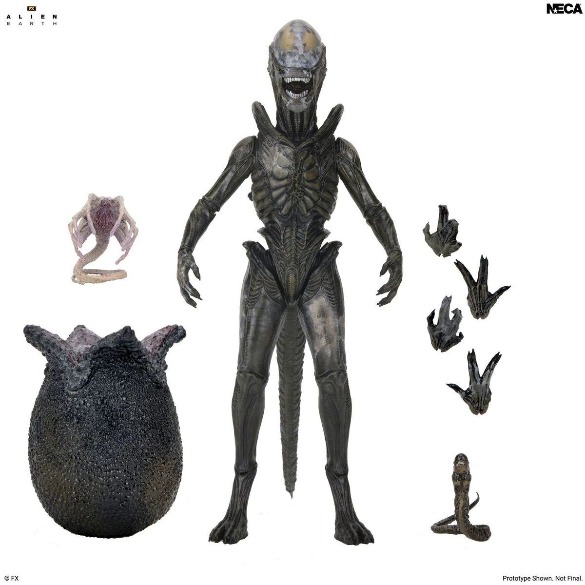 XENO426REAL's tweet photo. NECA Alien: Earth Ultimate Wendy's Xenomorph
Primeras figuras🧸 de la serie por NECA.
Es fea hasta la figura, pero bueno es mi deber daros a conocer cosas de alien, aunque sean de este esperpento.
#Xenomorph #Neca #Alien #Aliens #Prometheus #AlienEarth https://t.co/fF4piP6VfA