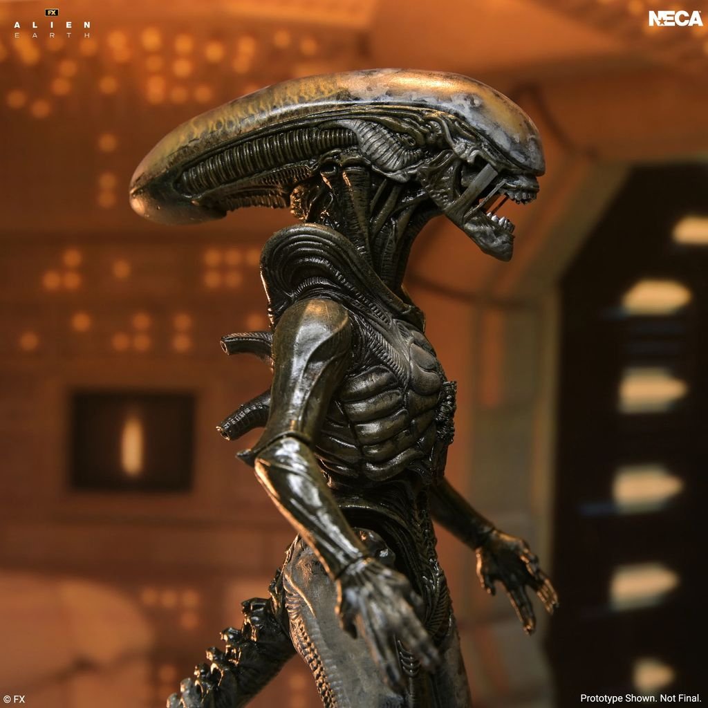 XENO426REAL's tweet photo. NECA Alien: Earth Ultimate Wendy's Xenomorph
Primeras figuras🧸 de la serie por NECA.
Es fea hasta la figura, pero bueno es mi deber daros a conocer cosas de alien, aunque sean de este esperpento.
#Xenomorph #Neca #Alien #Aliens #Prometheus #AlienEarth https://t.co/fF4piP6VfA