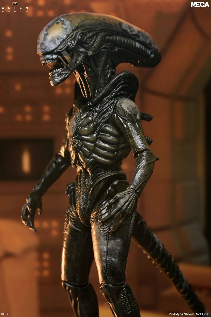 XENO426REAL's tweet photo. NECA Alien: Earth Ultimate Wendy's Xenomorph
Primeras figuras🧸 de la serie por NECA.
Es fea hasta la figura, pero bueno es mi deber daros a conocer cosas de alien, aunque sean de este esperpento.
#Xenomorph #Neca #Alien #Aliens #Prometheus #AlienEarth https://t.co/fF4piP6VfA