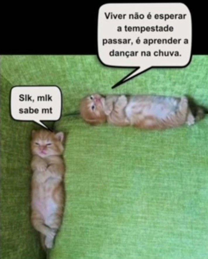 gatinarios's tweet photo. https://t.co/NCbYD5AAbd