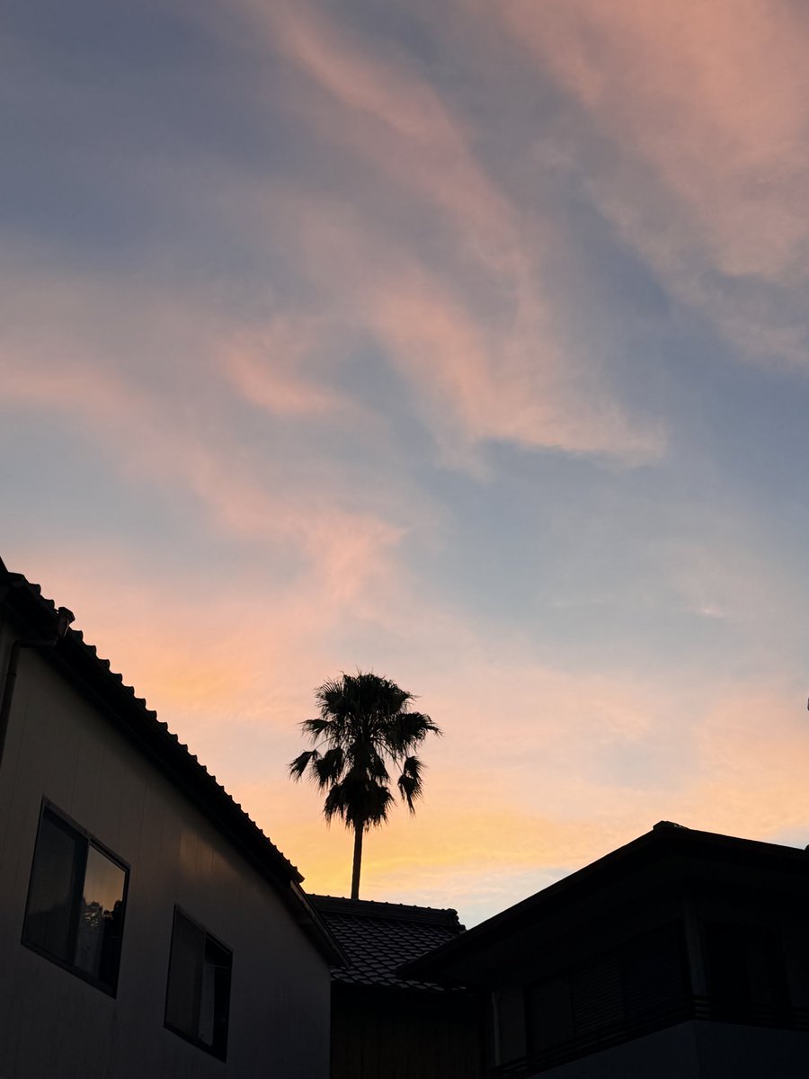 tanayuka60's tweet photo. 夕日🌇 https://t.co/q5FrQV9jEM