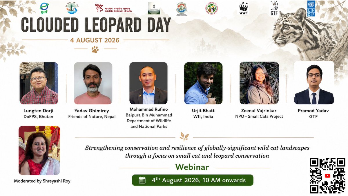 Unitedfortigers's tweet photo. On the occasion of International Clouded Leopard Day (4th August, 2026) join us for an informative and engaging webinar with scientists and experts from Asia on the enigmatic medium-sized small cat referred to as the “ghost of the forest". With fewer than 10,000 mature individuals recorded along its range, this talk focuses on the efforts being undertaken to understand the species behaviour, revive their shrinking habitat and address other prevailing threats to the species. @UNDP_India @moefcc @pakke_tiger @ArunForests  @DudhwaTR @theGEF @wii_india 

Live Streaming on YouTube -4th August, 2026 at 10:00 AM (Indian Standard Time) - https://t.co/l5wuhS9uRA

#InternationalCloudedLeopardDay #CloudedLeopard #GhostOfTheForest #WildlifeConservation #SmallWildCats