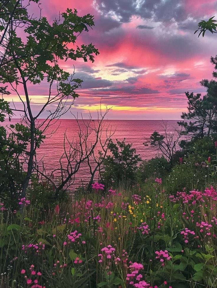 seraphicxc's tweet photo. When the sky matches the flowers. 🌸☁️ https://t.co/4lbUgIsKvy