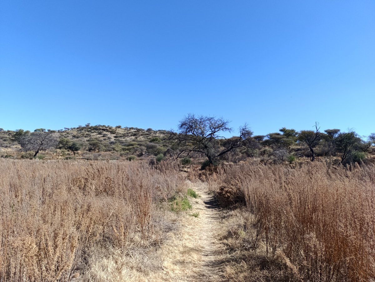 hikingadv's tweet photo. 📍Avis Dam - Windhoek, Namibia 

Beautiful and easy walking trail in the capital.

• Distance: 4.7 km
• Elevation gain: 179 m https://t.co/vbfCwhTLWy