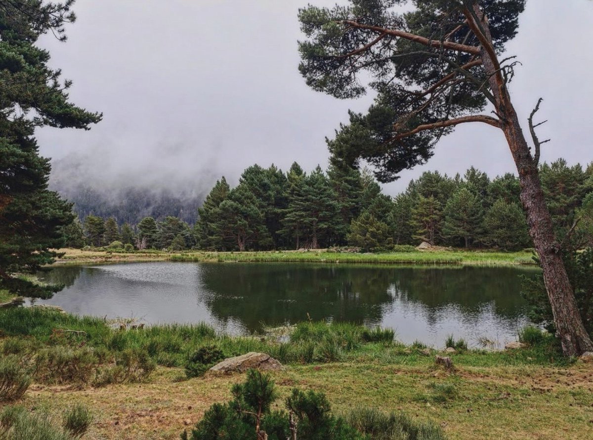 ricardrigall's tweet photo. Els Estanyols, a Censà, amb la Serra de Madres oculta per la boira de fons. #elsestanyols #censà #serrademadres #conflent #pyreneesorientales https://t.co/JInnNN2aJN