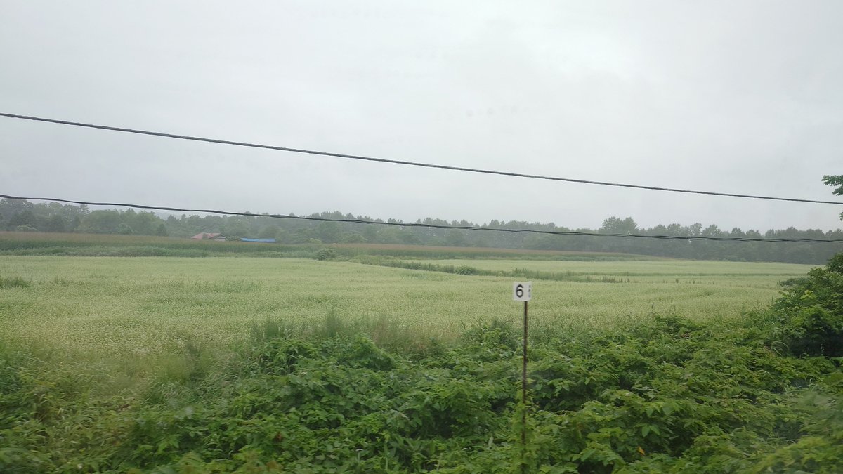 Sunshineikemen's tweet photo. その後美深に停車。レンガ調の駅舎が特徴である。名寄以北は旭川⇔名寄より速度が遅くなるが、回復運転のため爆走運転していて乗っていて楽しかった。宗谷本線内のラウンジスペースは比較的空いていて1人でもボックス席を使う事ができた。ラウンジ車両から見る宗谷本線を景色が特別に感じた。 https://t.co/itR2FfCzjt