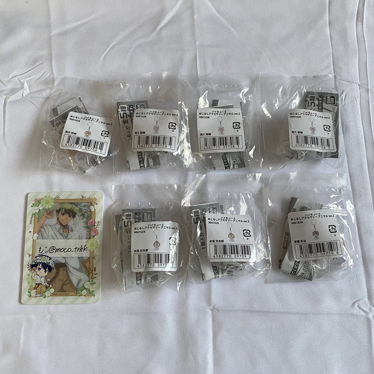 もこ☁️ིྀ ⋆˙⟡ tweet media