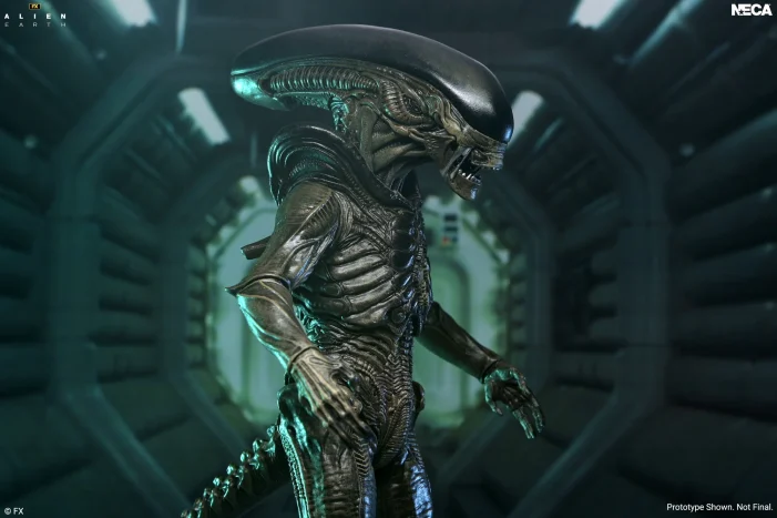 XENO426REAL's tweet photo. Y aquí el primer xenomorfo de la serie, este al menos no estaba domesticado, pero sigue siendo feo de narices. Giger lo siento mucho❤️
"NECA Ultimate xenomorph"
#Alien #Aliens #AlienEarth #Romulus #Prometheus #Xenomorph https://t.co/bwTKw1tL3l