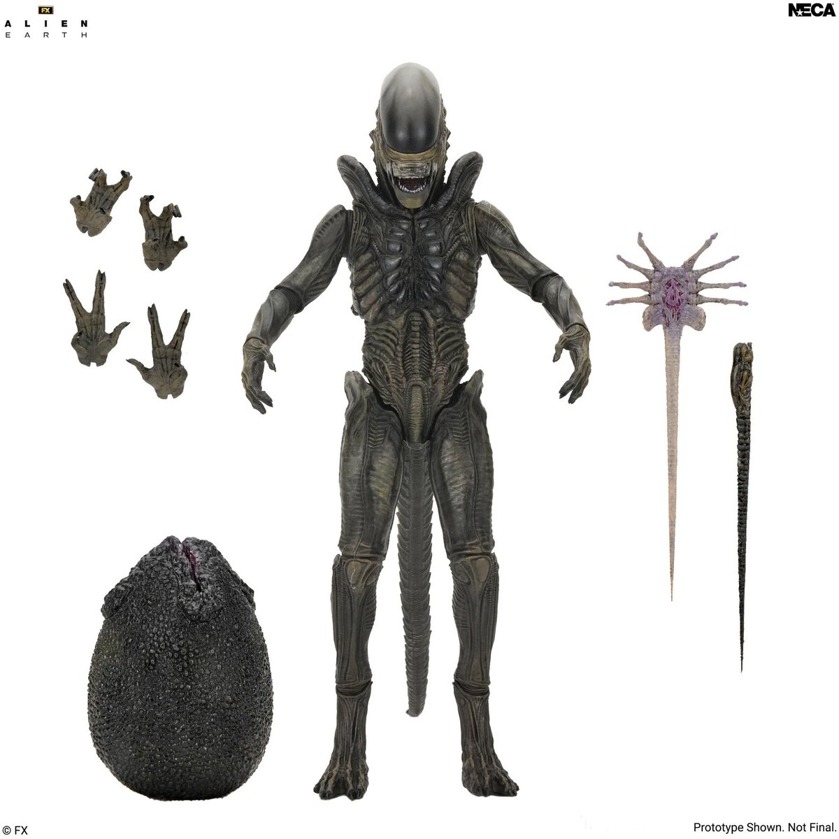 XENO426REAL's tweet photo. Y aquí el primer xenomorfo de la serie, este al menos no estaba domesticado, pero sigue siendo feo de narices. Giger lo siento mucho❤️
"NECA Ultimate xenomorph"
#Alien #Aliens #AlienEarth #Romulus #Prometheus #Xenomorph https://t.co/bwTKw1tL3l