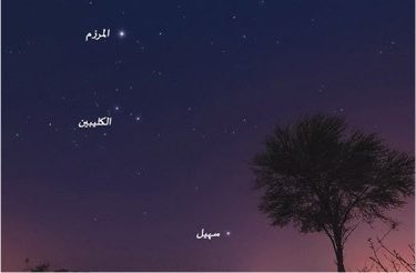 SaudiNews50's tweet photo. ظهور طالع المرزم "طباخ التمر" في الحدود الشمالية، ويتصف بـ :

•ذروة حرارة القيظ.

•بداية نضج الرطب.

• آخر نجوم موسم القيظ.

•اشتداد الرياح الحارة والجافة.

•بداية موسم طباخ التمر.

- https://t.co/HsG2OjyC9R