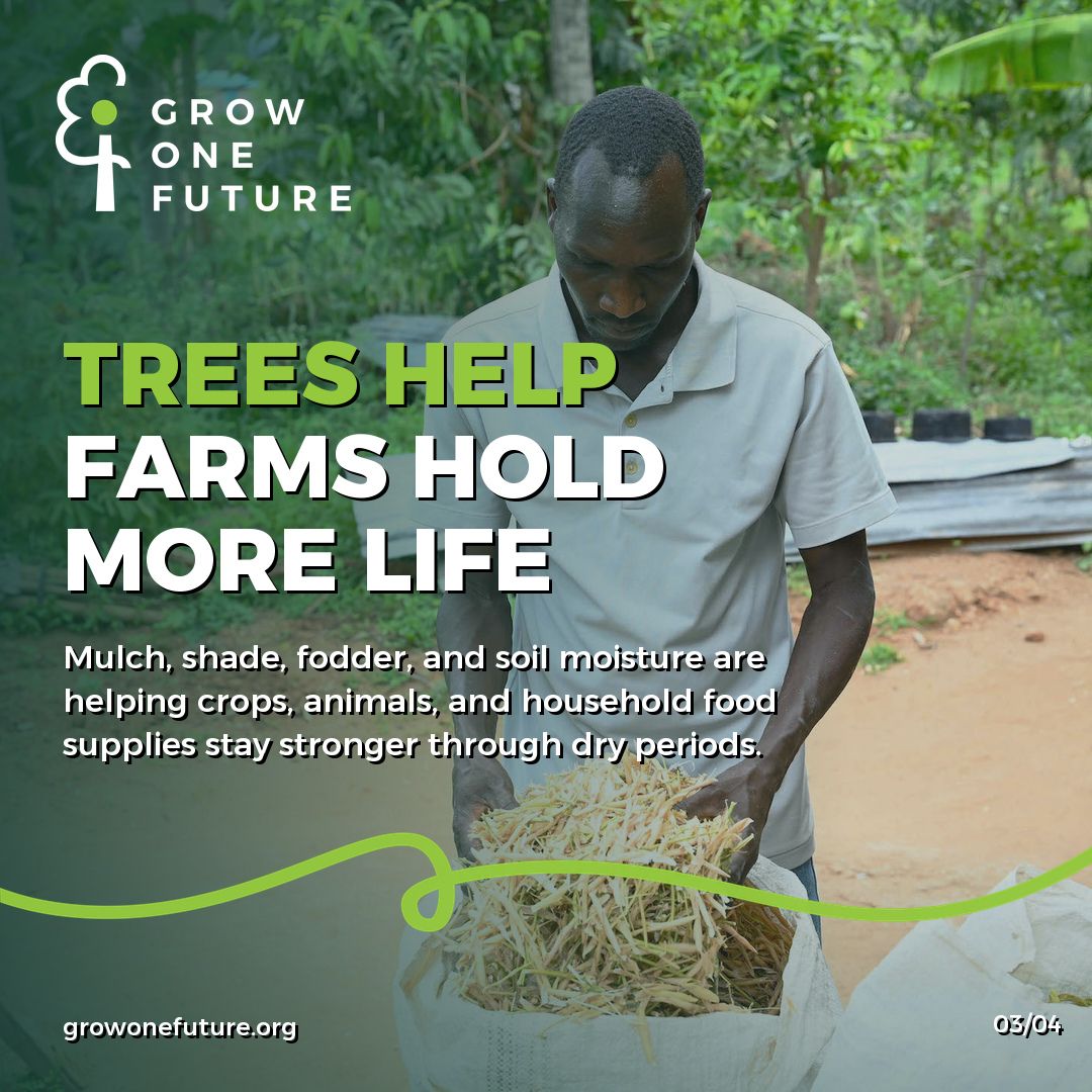 growonefuture's tweet photo. Restoration becomes real when it changes what a family has to carry each day.

In Kenya's Elgeyo Marakwet County, World Vision shares how Reuben and Anita used Farmer Managed Natural Regeneration to bring indigenous trees back across their land. What began as a land restoratio... https://t.co/0ADk8Lo33g