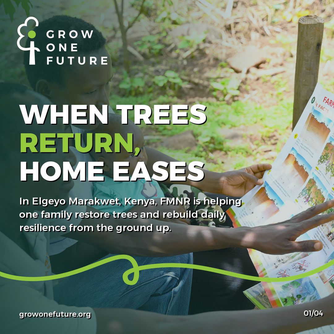 growonefuture's tweet photo. Restoration becomes real when it changes what a family has to carry each day.

In Kenya's Elgeyo Marakwet County, World Vision shares how Reuben and Anita used Farmer Managed Natural Regeneration to bring indigenous trees back across their land. What began as a land restoratio... https://t.co/0ADk8Lo33g