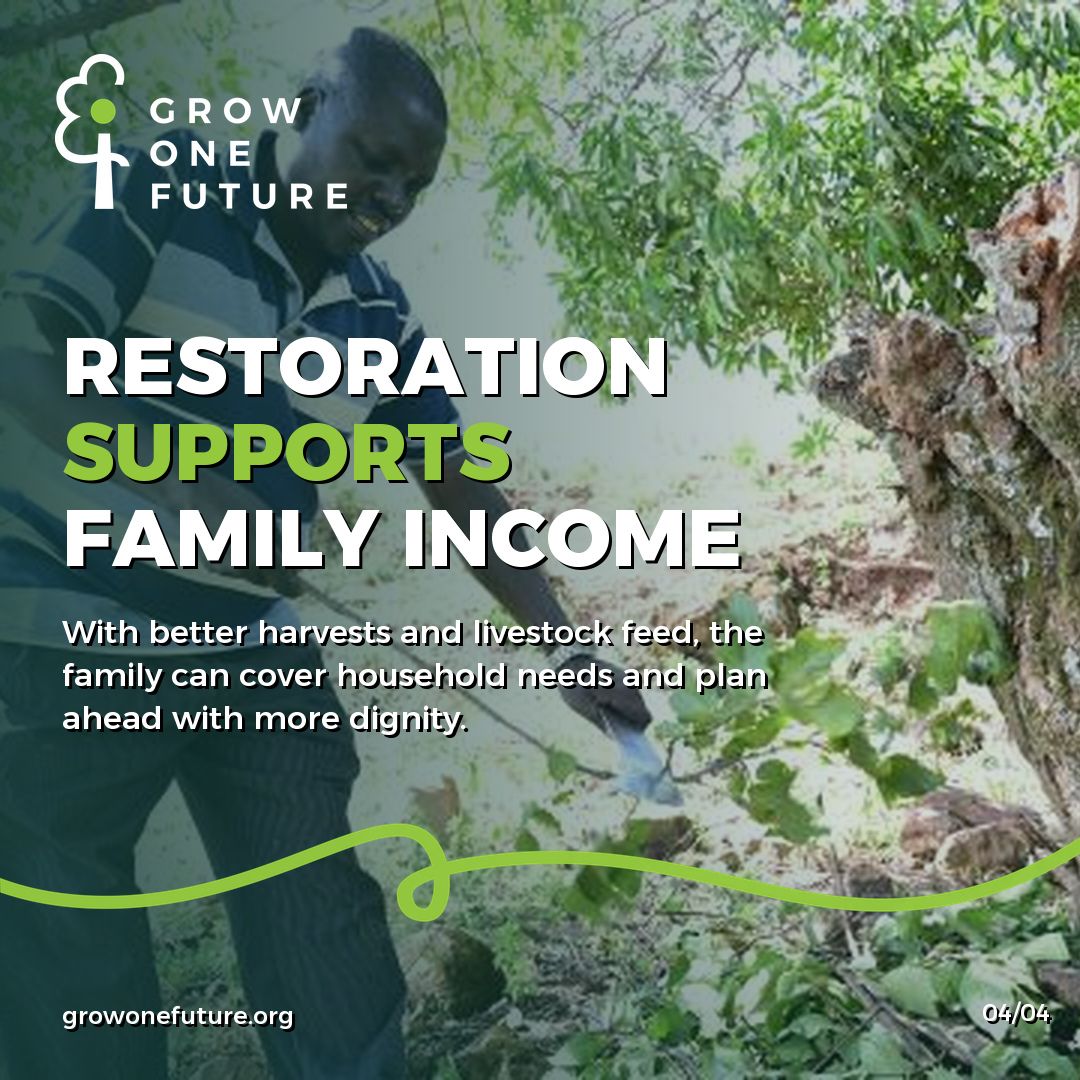 growonefuture's tweet photo. Restoration becomes real when it changes what a family has to carry each day.

In Kenya's Elgeyo Marakwet County, World Vision shares how Reuben and Anita used Farmer Managed Natural Regeneration to bring indigenous trees back across their land. What began as a land restoratio... https://t.co/0ADk8Lo33g