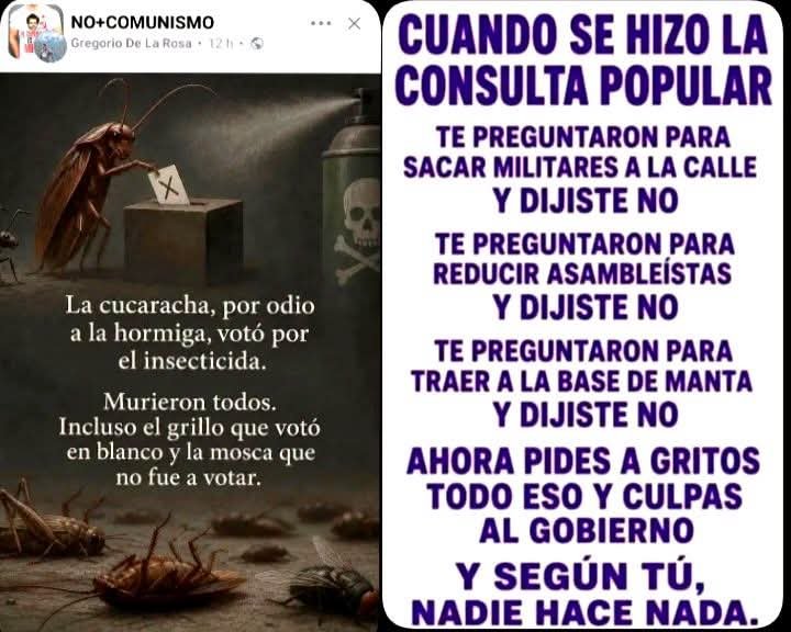 GineinsN's tweet photo. QUIENES VOTARON POR EL NO EN LA CONSULTA POPULAR, NO TIENEN NINGÚN DERECHO A RECLAMAR POR SEGURIDAD O POR CUALQUIER COSA AL GOBIERNO. 
Ustedes mismo son los CULPABLES. 
En fin: Borregos-Mameluquistas 🌈 https://t.co/lHfokCnZT5
