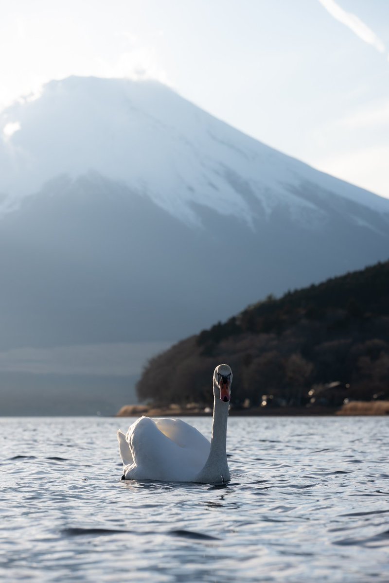 yoh3san's tweet photo. #これを見た人はお気に入りのローアングルを貼るおねがい https://t.co/m2A43iTc58