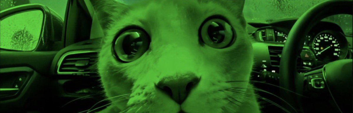 fadedturtwig's tweet photo. the cat of pons, MarketCat

0xfb97e1ca99378ea348eb794cbed099408ca74d1c https://t.co/WgGijJ91g7